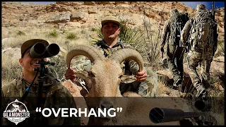 New Mexico Barbary Sheep - OVERHANG