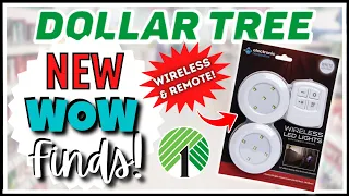 *WOW!* DOLLAR TREE Finds You DON'T WANT TO MISS! HAUL them NOW! Remote Lights Bee Decor & Much More!