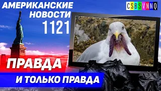 CSBSVNNQ Американские новости — выпуск #1121 от 13.10.2023