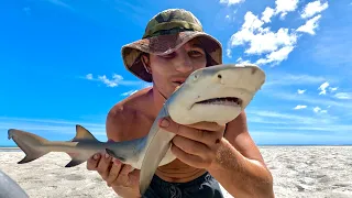 CATCHING SHARKS BY HAND, STRANDED ON A TORRES STRAIT ISLAND Pt 1