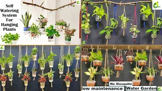 4 Ideas For Hanging Water Garden/Plant Hanging Ideas At Home/Garden Ideas/Plant/ORGANIC GARDEN