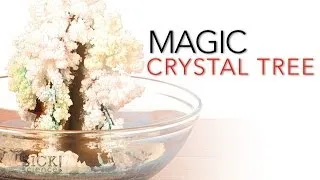 Magic Crystal Tree - Sick Science! #065