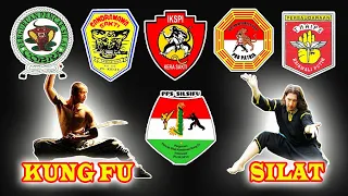 6 PERGURUAN PENCAK SILAT BERALIRAN KUNG FU YANG ADA DI INDONESIA