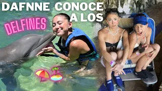 DAFNNE CONOCE A LOS DELFINES POR PRIMERA VEZ 😱 | Hermanas JM