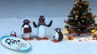 Pingu's Family Celebrate Christmas 🎄 Pingu | Cartoons for Kids