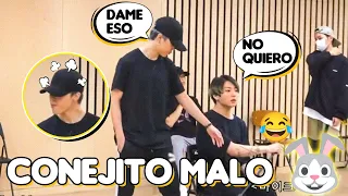 jungkook es un CONEJITO TRAVIESO🐰 aveces olvida que es el menor de BTS