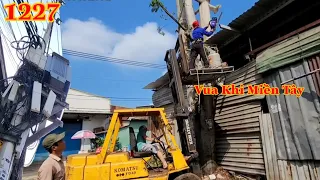 Full : Vua Khỉ Miền Tây cưa hạ hai cây Gòn , phần thân đã ă.n vào vách nhà Cutting cotton trees