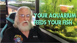 YOUR AQUARIUM FEEDS YOUR FISH
