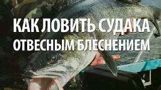 ЛОВЛЯ РЫБЫ СУДАК с ЛОДКИ ОТВЕСНЫМ БЛЕСНЕНИЕМ - СОВЕТЫ