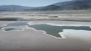 Lagoon in Argentina may harbor example of 'earliest signs of life' on Earth