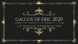 GALGOS DE ERIC 2020