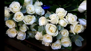 Milen  "От белых роз ..." (2023) ( в память о друге и коллеге - Юрии Шатунове)