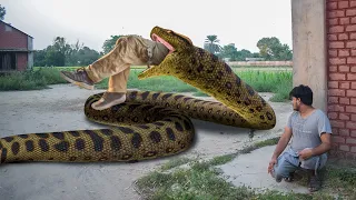 Anaconda Snake Part 2 in Real Life - Anaconda Live Bait - Anaconda Attack