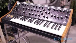 NAMM 2014: Moog Sub 37 | UniqueSquared.com