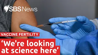 No evidence COVID-19 vaccines impact fertility | SBS News