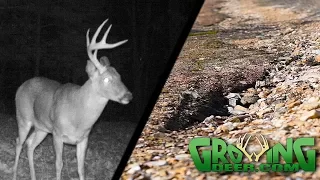 Antlers! Time to Shed Hunt!  | Land Management Tips for Erosion Control (#482) @GrowingDeer.tv