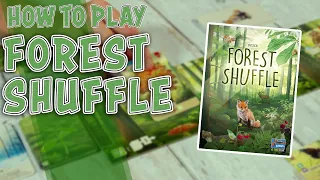 Forest Shuffle | How To Play | Learn to Play in 5 Minutes!