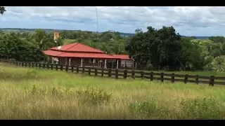 🔵Fazenda em Novo São Joaquim - MT🔵Área total 870 hectares)🔵Sendo 600 hectares aberto (plantado soja)