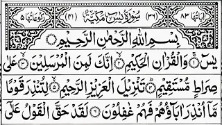 Surah Yaseen | Ar-Rhaman | Surah Yasin 2 Times Daily Quran Tilawat Episode 355 Beautiful Recitation