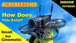 Worlds Smallest DJI 03 Tiny Whoop - LOVE it! - ACROBEE75 HD - Review