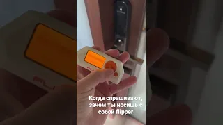 Друзья у меня спрашивают, зачем я таскаю в рюкзаке flipper zero #flipper #flipperzero #hacker #hack