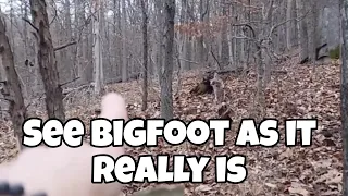 Truly Real Bigfoot Capture. See bigfoot as it really is.