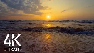 Calming Sounds of the Sea at Sunrise - 8 HOURS Sea Waves with Seagulls