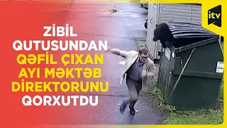 Zibil qutusundan qəfil çıxan ayı məktəb direktorunu qorxutdu