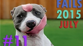 Fails 2015:Лучшие приколы и неудачи за неделю - Июль Funny videos! #11