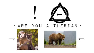 Are you a therian? | therian basics |