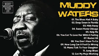 Muddy Waters - Classical Blues Music | Greatest Hits of All Time