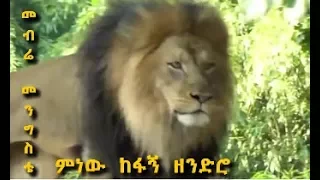 Mebrie Mengistie - Minew Kefagn Zendro | መብሬ መንግስቴ - ምነው ከፋኝ ዘንድሮ | Ethiopian Traditional Music