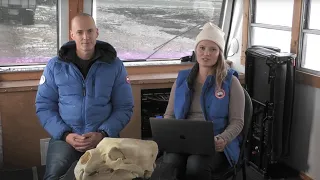 Trash Talk: Impacts of Human Garbage on Polar Bears