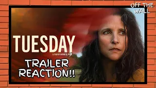 A24's Tuesday Trailer Reaction