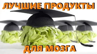 Для мозга и памяти  - правильные продукты и лучшая еда для мозга