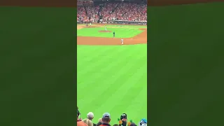 Houston Astros Game 6 ALCS walk off home run and reaction!