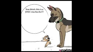 That Angry Chihuahua Wants Beef With Brutus | Pixie and Brutus Comic by Pet_foolery #comicdub