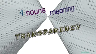 transparency - 4 nouns synonym to transparency (sentence examples)