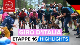 Giro D'Italia 2022 | Highlights Etappe 16