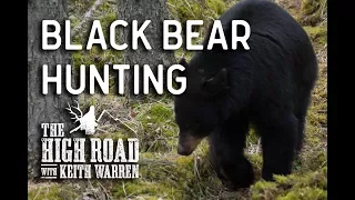 Black Bear Hunt Extravaganza | The High Road