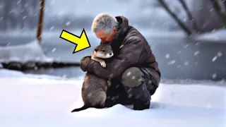 An Otter Visits This Lonely Man Every Morning, But Then Discovers Something Shocking!