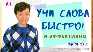 8. Выучим сегодня ещё 10 слов (части тела) 🇩🇪