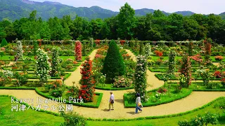 Too beautiful rose garden! A faithful reproduction of the Bagatelle Park in Paris!