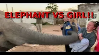 Elefant vs. Mädchen!!