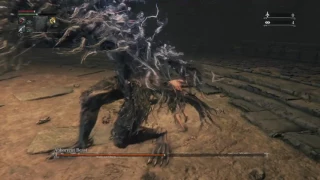 BL4 FRC Abhorrent Beast No Rolling/Dashing/Consumables Flawless Kill