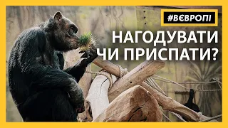 «Накорми зверька онлайн»: зоопарки Чехии в беде из-за отсутствия посетителей | #ВЕВРОПЕ