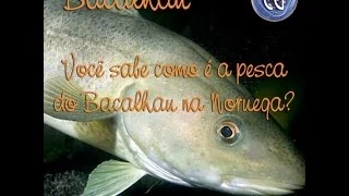 Pesca do Bacalhau na Noruega