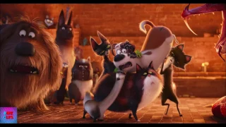 The Secret Life Of Pets  2017  The Ritual - Viper Death (4/5) DopeClips