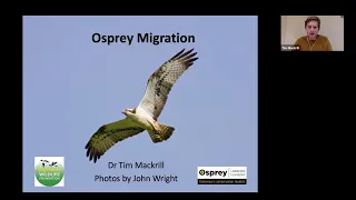 Osprey Migration Webinar