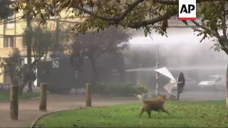 Chile: Reprimen a estudiantes que marchaban sin permiso